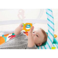 Fisher Price Renkli Dostlar Taşınabilir Oyun Halısı