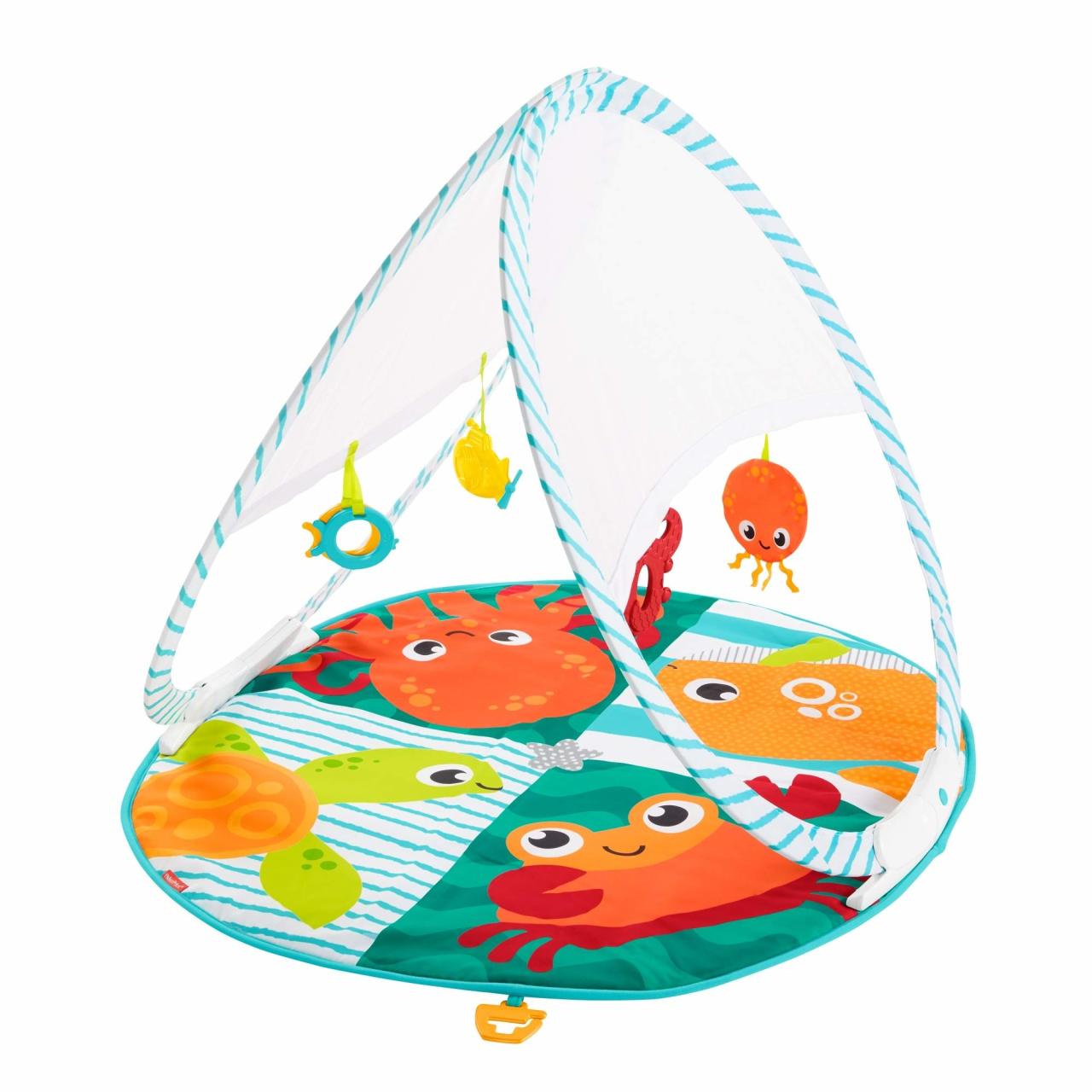 Fisher Price Renkli Dostlar Taşınabilir Oyun Halısı