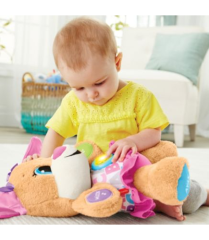 Fisher Price Eğitici Köpekçik'in Kız Kardeşi