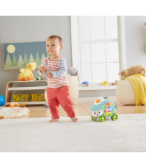 Fisher Price Linkimals Gezgin Kirpi