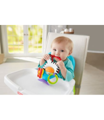 Fisher Price Sevimli Zebra Mama Koltuğu Oyuncağı