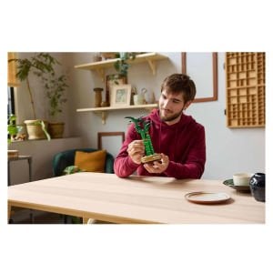 LEGO Botanicals Şans Bambusu 10344