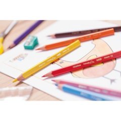 Bic Evolution 12 Renk Jumbo Üçgen  Kuru Boya