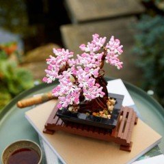 LEGO Icons Bonsai Ağacı