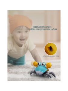 Dans Eden Şirin Yengeç