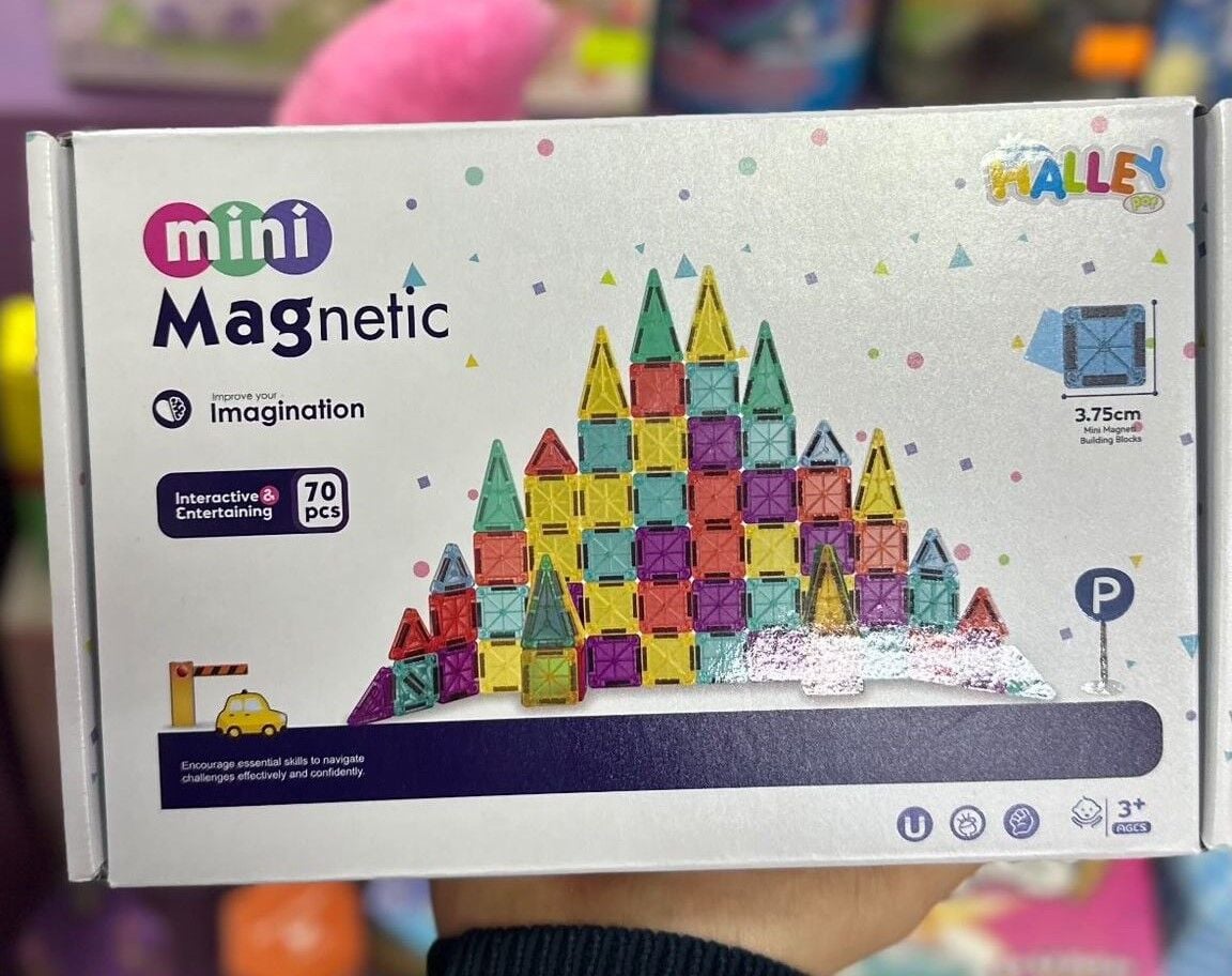 Halley Mini Manyetik Bloklar 70 Parça